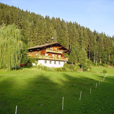 Villa Ellmauhof Pfarrwerfen Exterior foto