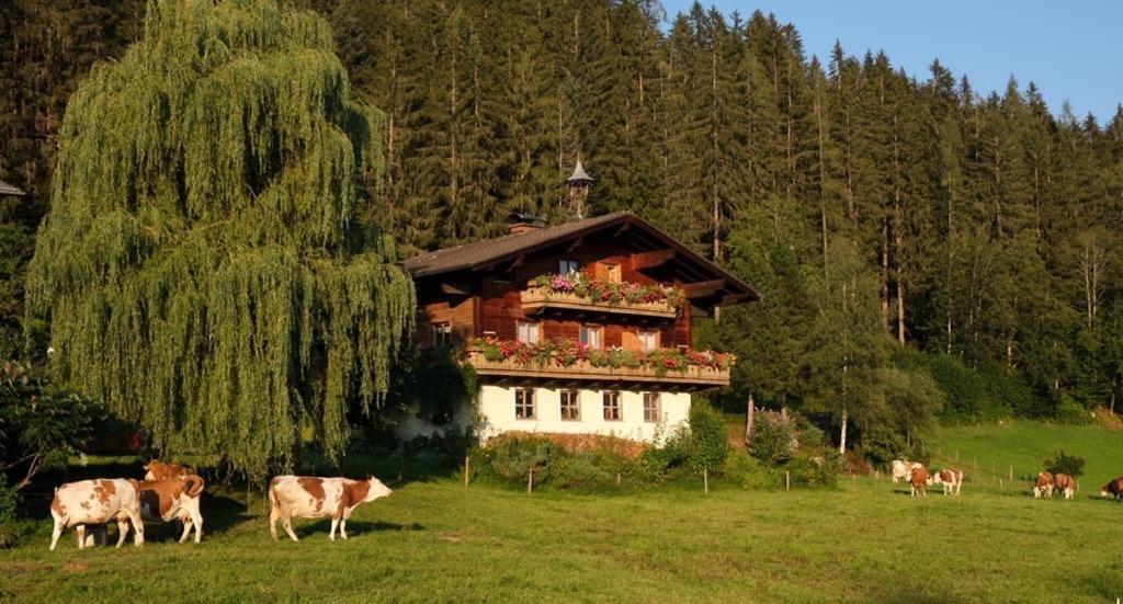 Villa Ellmauhof Pfarrwerfen Exterior foto